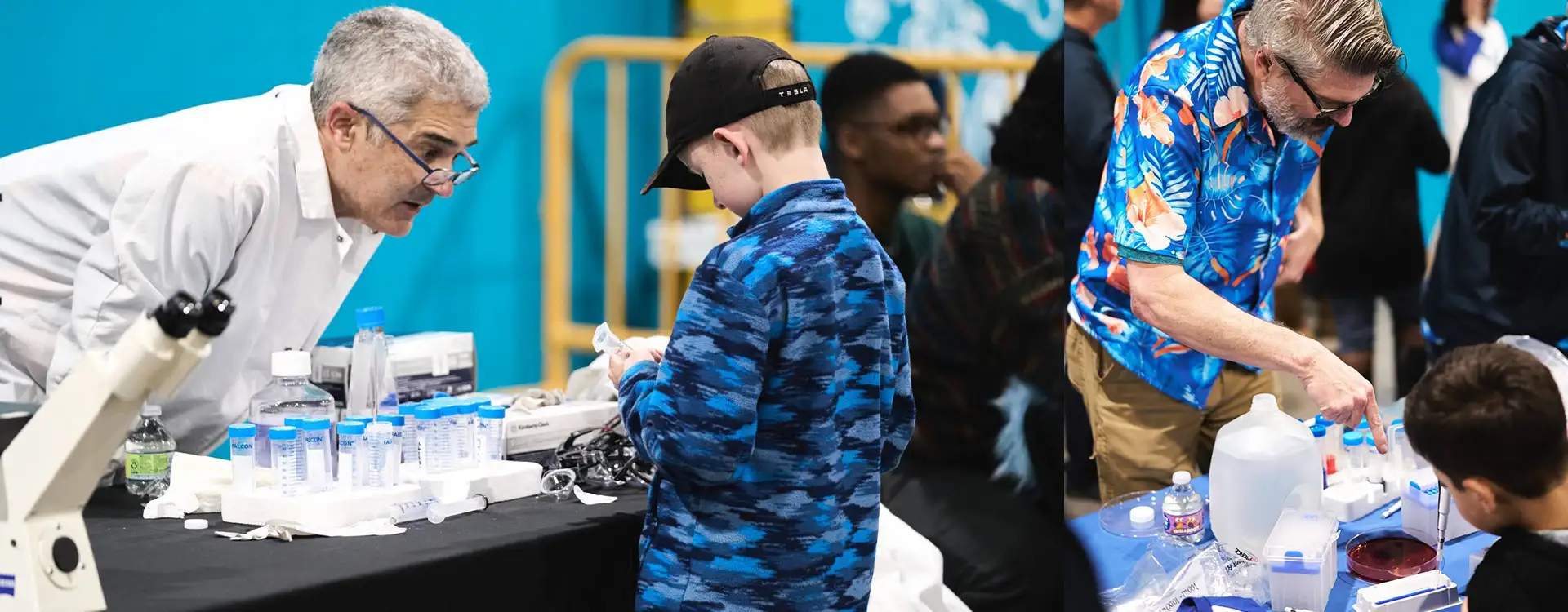 anaptys-culture_2026_03_